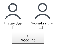 Individual Account Structure